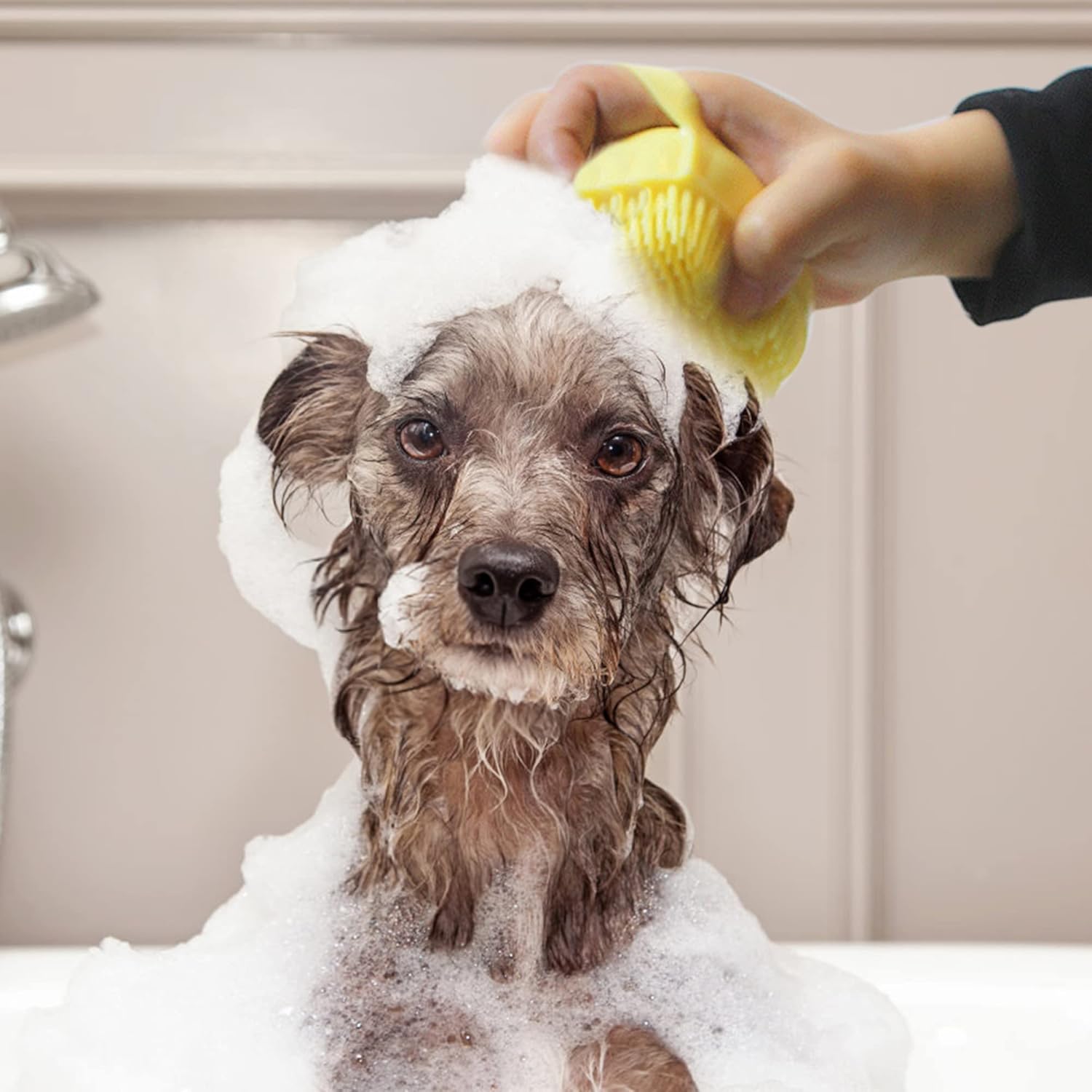 Pet Grooming & Hygiene