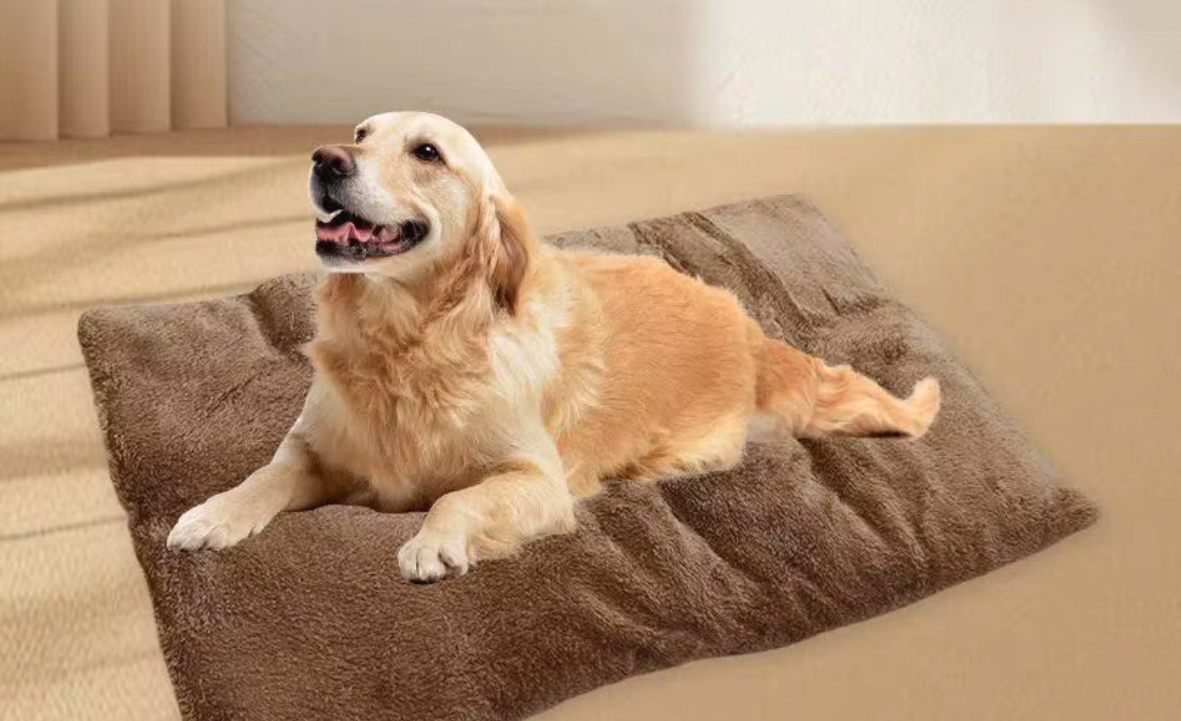 XXL Washable, plush, calming, chew proof, memory foam dog bed